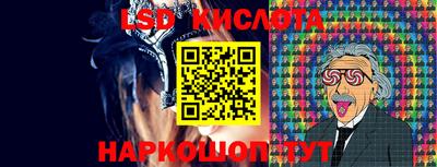 гашик Кандалакша