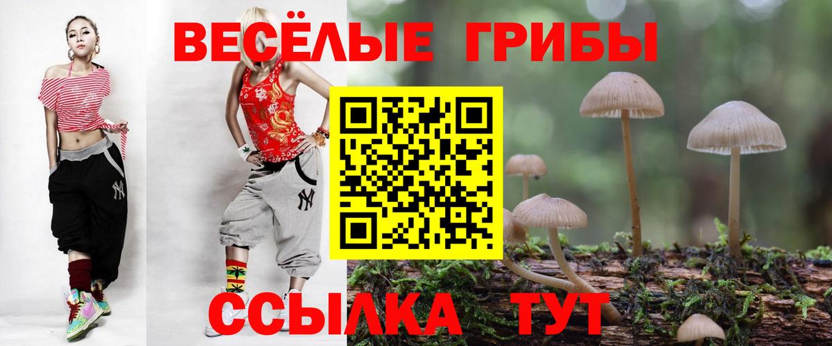 Псилоцибиновые грибы Cubensis  Вход с VPN  Балашов  Псилоцибиновые грибы мицелий 